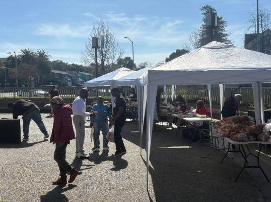 snap-it-fast-3-25-2026_at_21-13-29