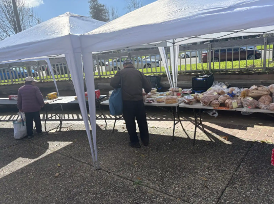 snap-it-fast-3-25-2026_at_21-15-07